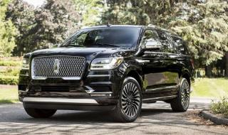 白垩纪海洋巨无霸主要内容 十大海洋巨无霸